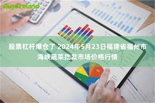 股票杠杆爆仓了 2024年5月23日福建省福州市海峡蔬菜批发市场价格行情