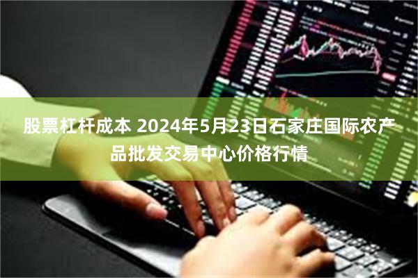 股票杠杆成本 2024年5月23日石家庄国际农产品批发交易中心价格行情