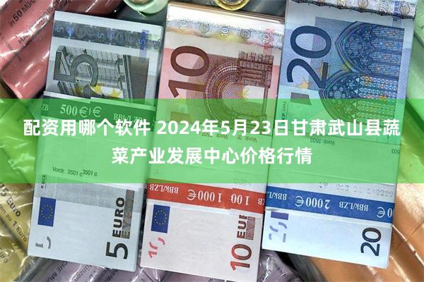 配资用哪个软件 2024年5月23日甘肃武山县蔬菜产业发展中心价格行情