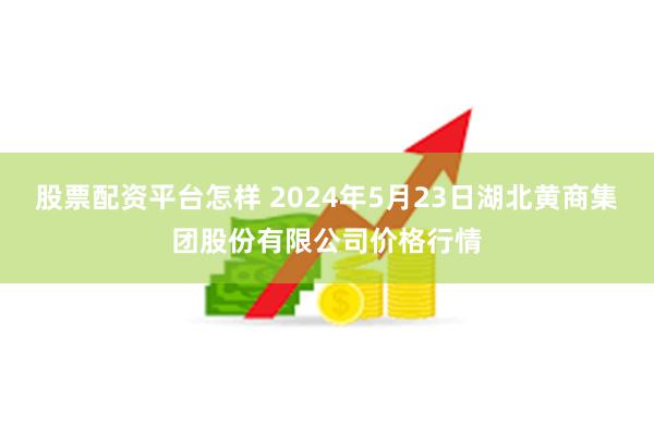 股票配资平台怎样 2024年5月23日湖北黄商集团股份有限公司价格行情