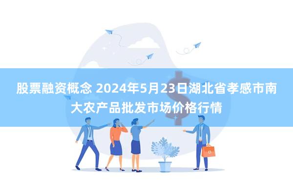 股票融资概念 2024年5月23日湖北省孝感市南大农产品批发市场价格行情