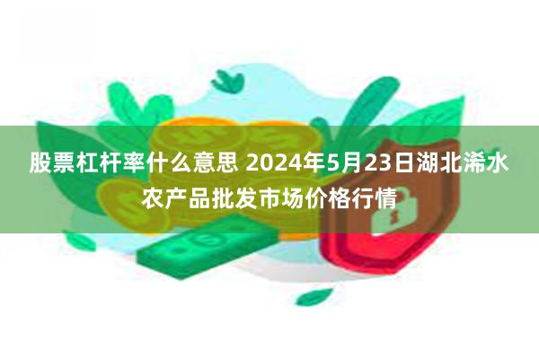 股票杠杆率什么意思 2024年5月23日湖北浠水农产品批发市场价格行情