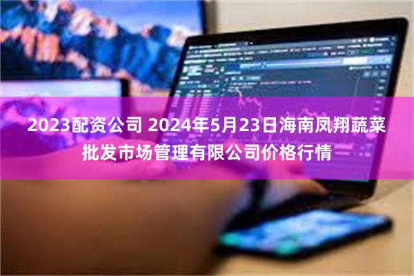 2023配资公司 2024年5月23日海南凤翔蔬菜批发市场管理有限公司价格行情