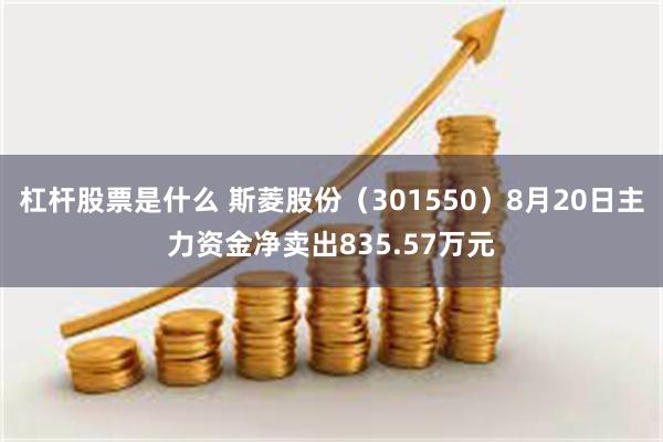 杠杆股票是什么 斯菱股份（301550）8月20日主力资金净卖出835.57万元