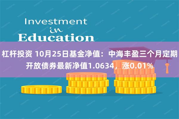 杠杆投资 10月25日基金净值：中海丰盈三个月定期开放债券最新净值1.0634，涨0.01%