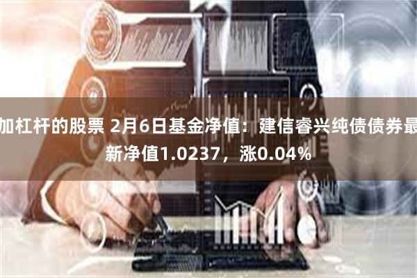 加杠杆的股票 2月6日基金净值：建信睿兴纯债债券最新净值1.0237，涨0.04%